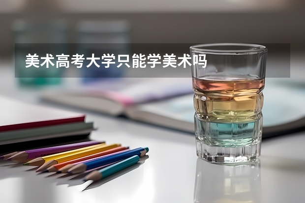 美术高考大学只能学美术吗