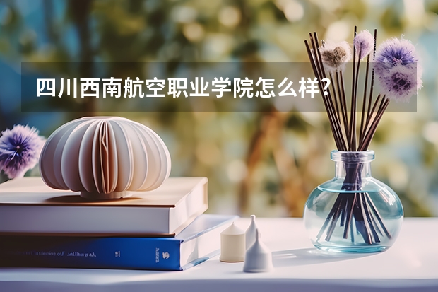 四川西南航空职业学院怎么样?
