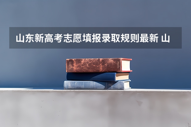 山东新高考志愿填报录取规则最新 山东省新高考志愿填报规则