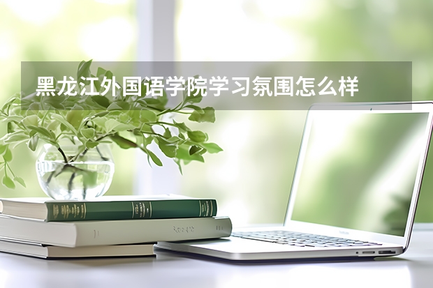 黑龙江外国语学院学习氛围怎么样
