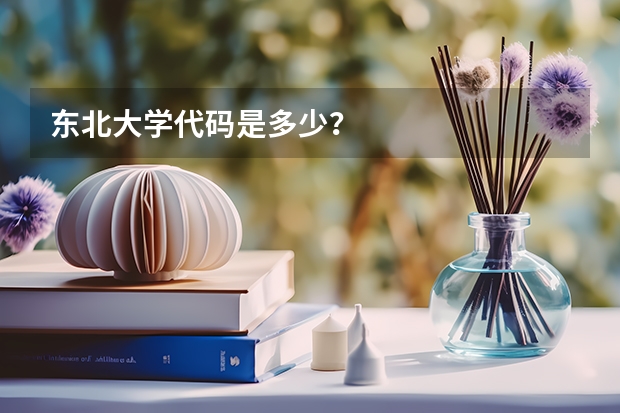 东北大学代码是多少？
