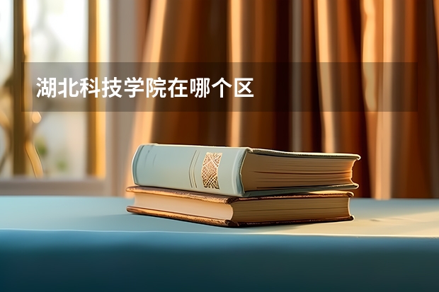湖北科技学院在哪个区