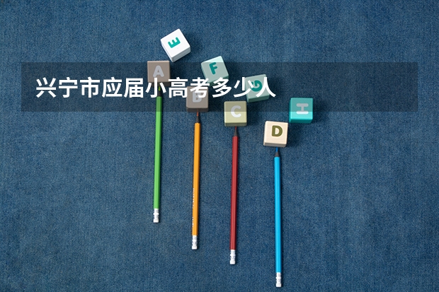 兴宁市应届小高考多少人