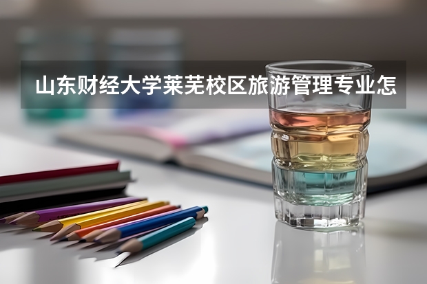 山东财经大学莱芜校区旅游管理专业怎么样，就业前景如何？