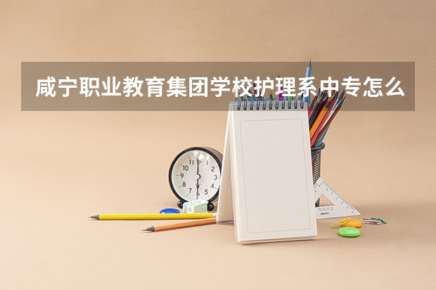 咸宁职业教育集团学校护理系中专怎么升大专？
