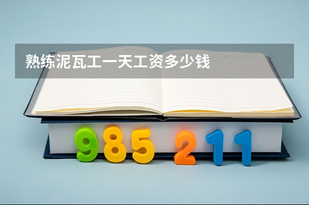 熟练泥瓦工一天工资多少钱