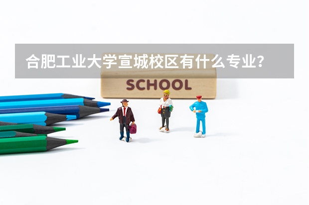 合肥工业大学宣城校区有什么专业？