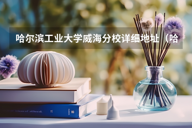哈尔滨工业大学威海分校详细地址（哈尔滨工业大学（威海）院系概况）