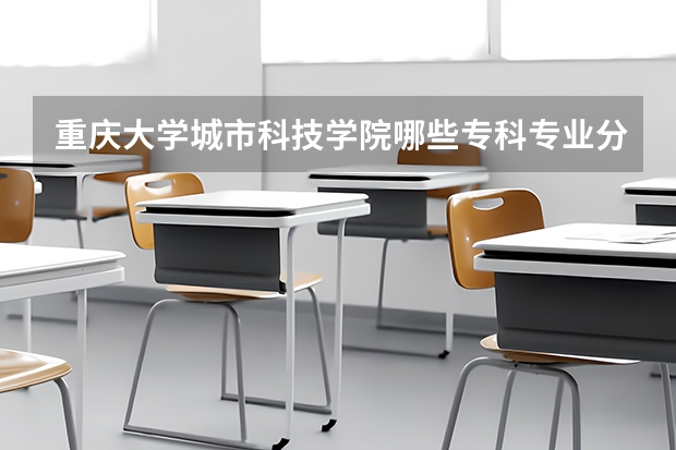 重庆大学城市科技学院哪些专科专业分数线最低