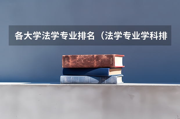 各大学法学专业排名（法学专业学科排名）