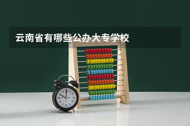云南省有哪些公办大专学校