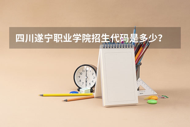 四川遂宁职业学院招生代码是多少？