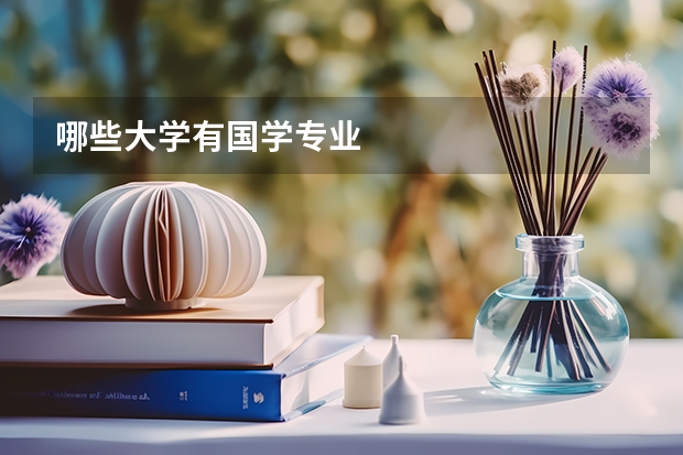 哪些大学有国学专业