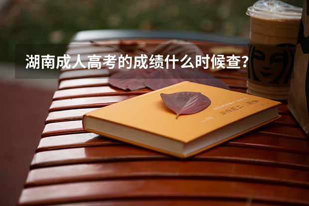 湖南成人高考的成绩什么时候查？