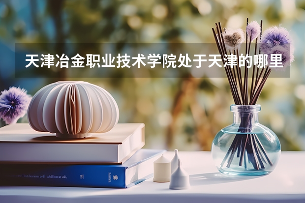 天津冶金职业技术学院处于天津的哪里？