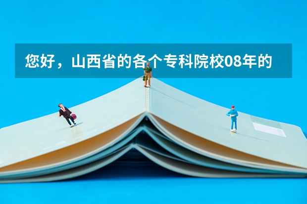 您好,山西省的各个专科院校08年的录取分数线分别是多少?