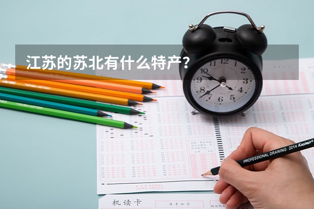 江苏的苏北有什么特产？