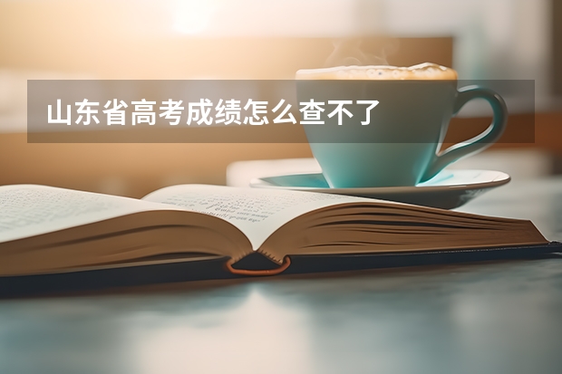 山东省高考成绩怎么查不了
