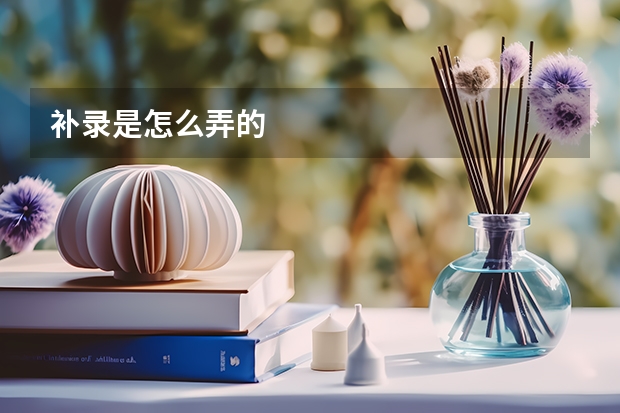 补录是怎么弄的