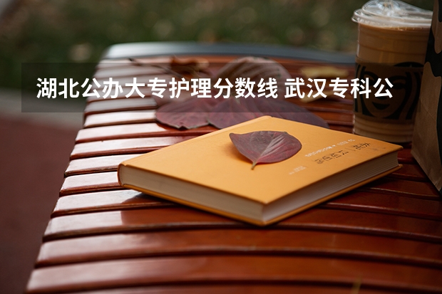 湖北公办大专护理分数线 武汉专科公办学校分数线