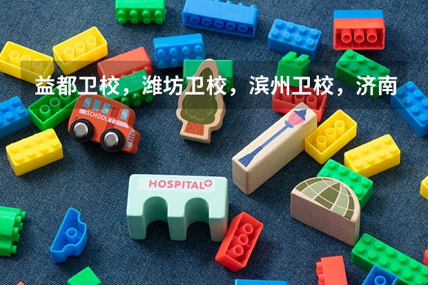 益都卫校,潍坊卫校,滨州卫校,济南卫校,泰安卫校,哪个卫校比较好?简单说明一下各个卫校的优劣!