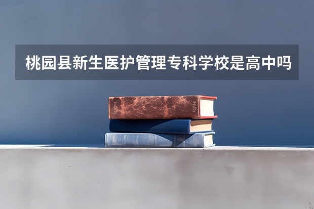 桃园县新生医护管理专科学校是高中吗？
