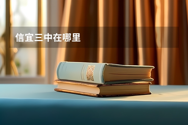 信宜三中在哪里