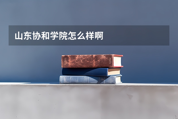 山东协和学院怎么样啊