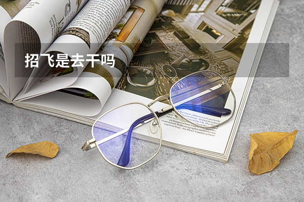 招飞是去干吗