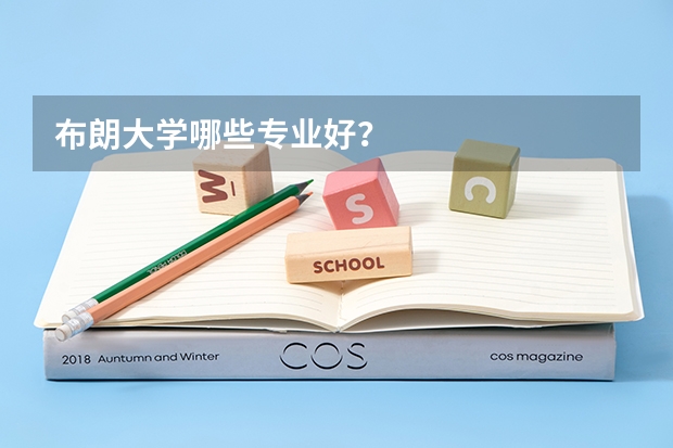 布朗大学哪些专业好？