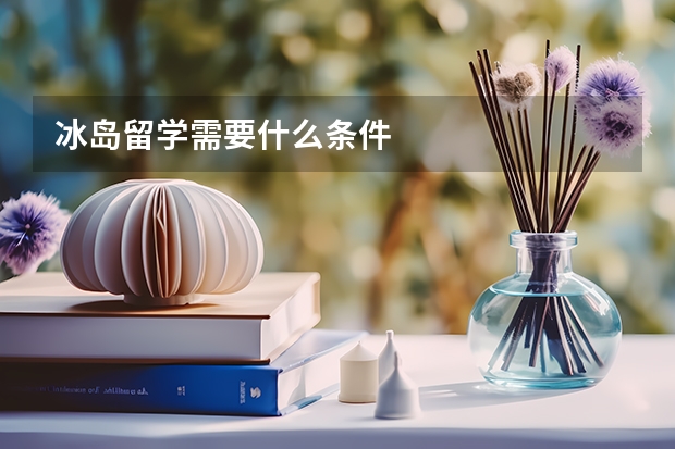 冰岛留学需要什么条件