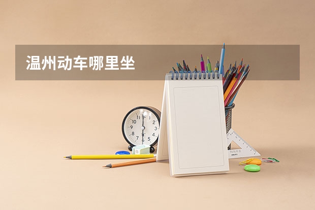温州动车哪里坐