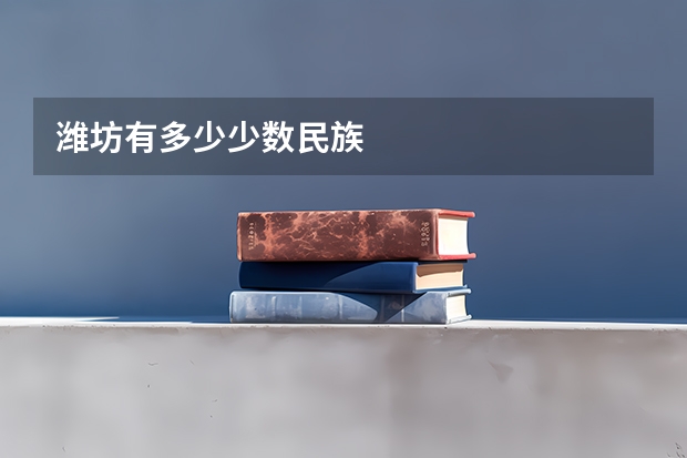 潍坊有多少少数民族