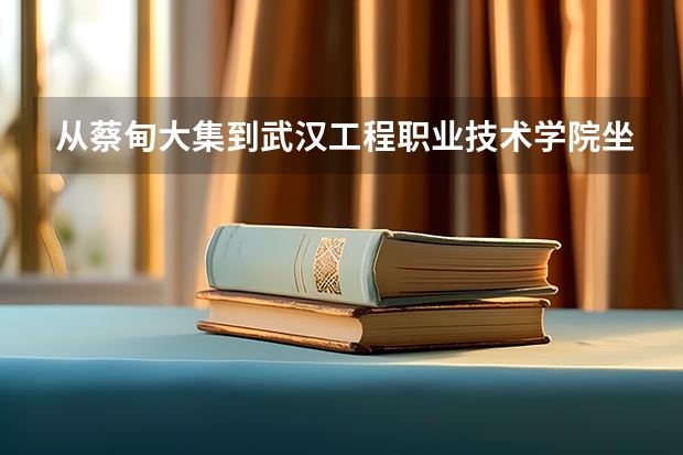 从蔡甸大集到武汉工程职业技术学院坐公交怎么走