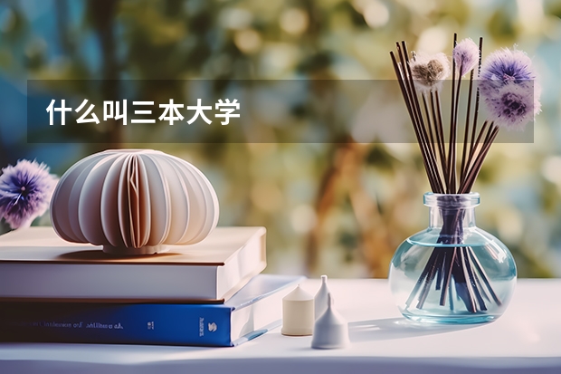 什么叫三本大学