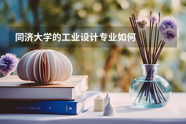 同济大学的工业设计专业如何