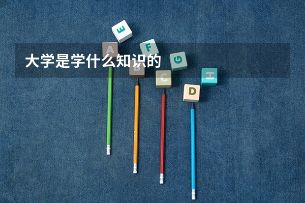 大学是学什么知识的