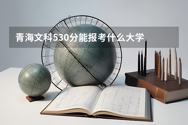 青海文科530分能报考什么大学
