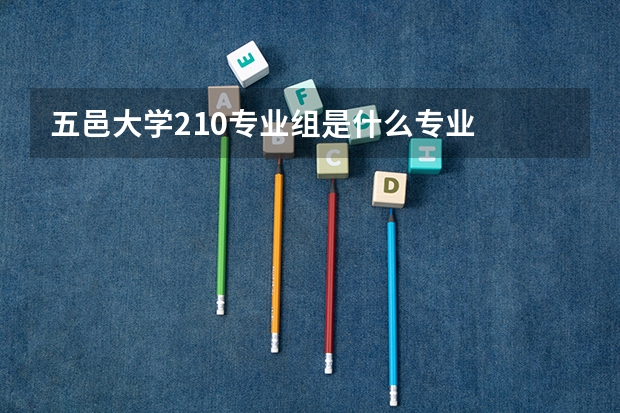 五邑大学210专业组是什么专业