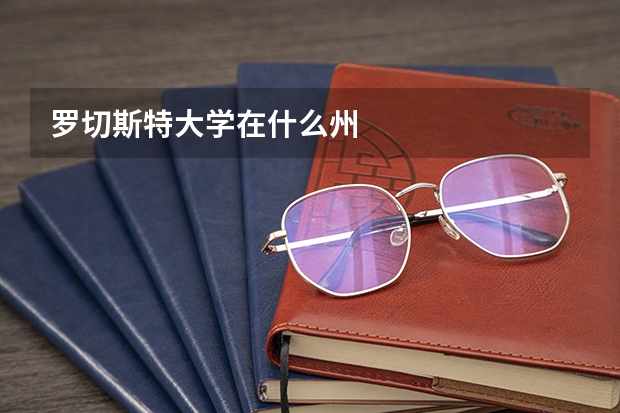 罗切斯特大学在什么州