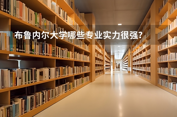 布鲁内尔大学哪些专业实力很强？