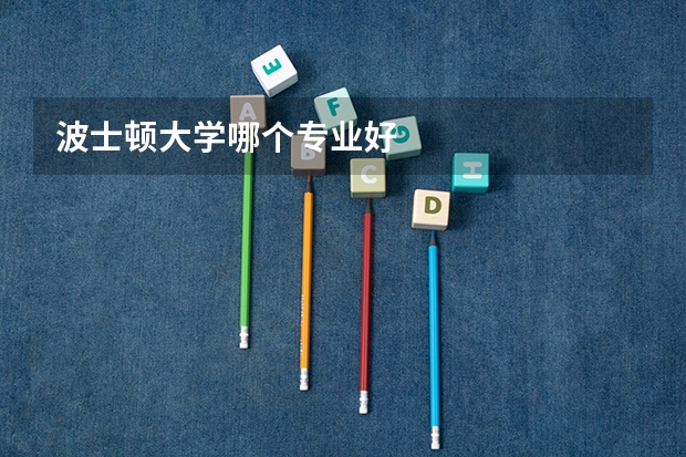 波士顿大学哪个专业好